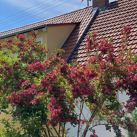 ホームステイ Haus Am Kuhsee *