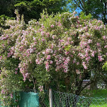 Haus Am Kuhsee * アウグスブルク