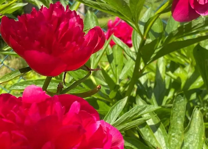 Haus Am Kuhsee Accommodatie bij particulieren *