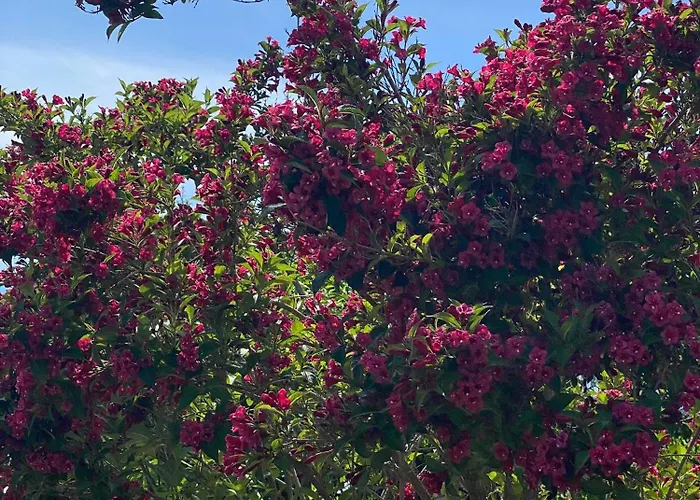 Accommodatie bij particulieren Haus Am Kuhsee