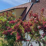 Privatunterkunft Haus Am Kuhsee *