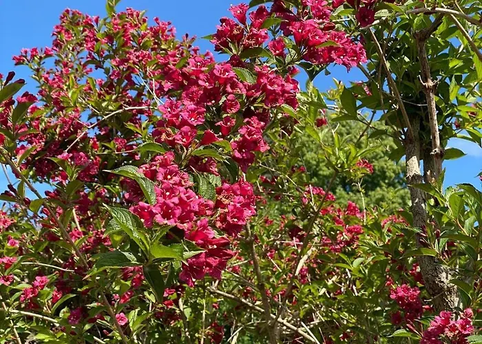 Kwatera prywatna Haus Am Kuhsee Augsburg