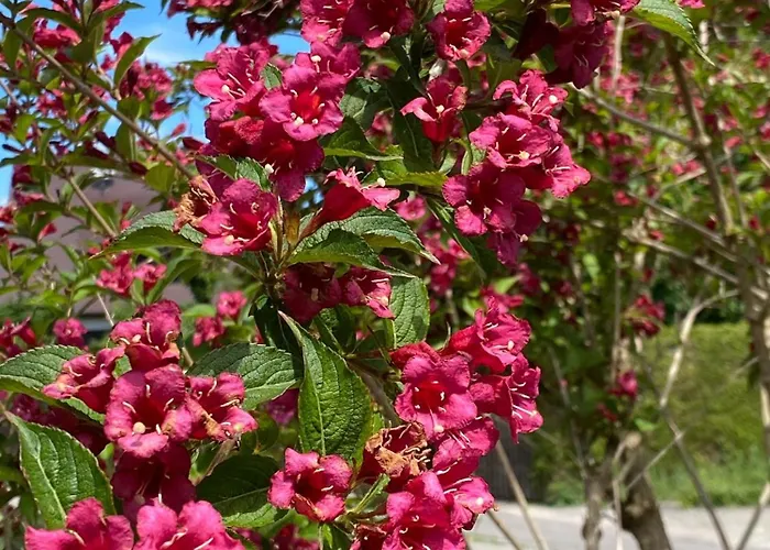 Kwatera prywatna Haus Am Kuhsee Augsburg