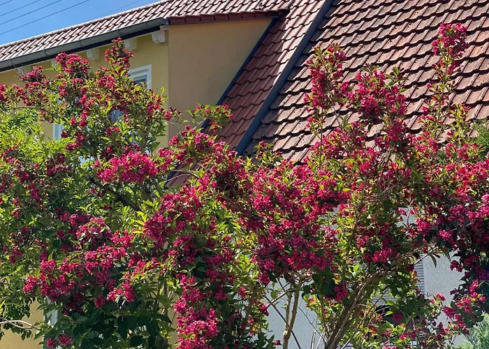 Kwatera prywatna Haus Am Kuhsee *