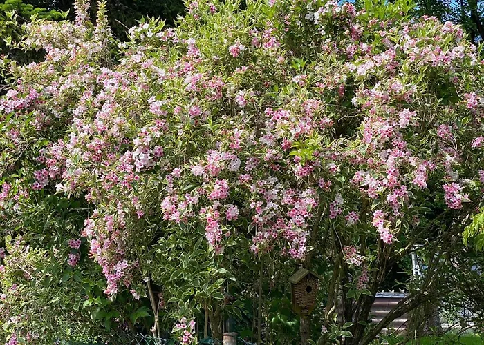 Haus Am Kuhsee * Augsburg